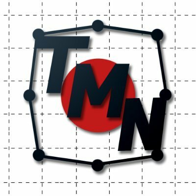 The Training Mode Network