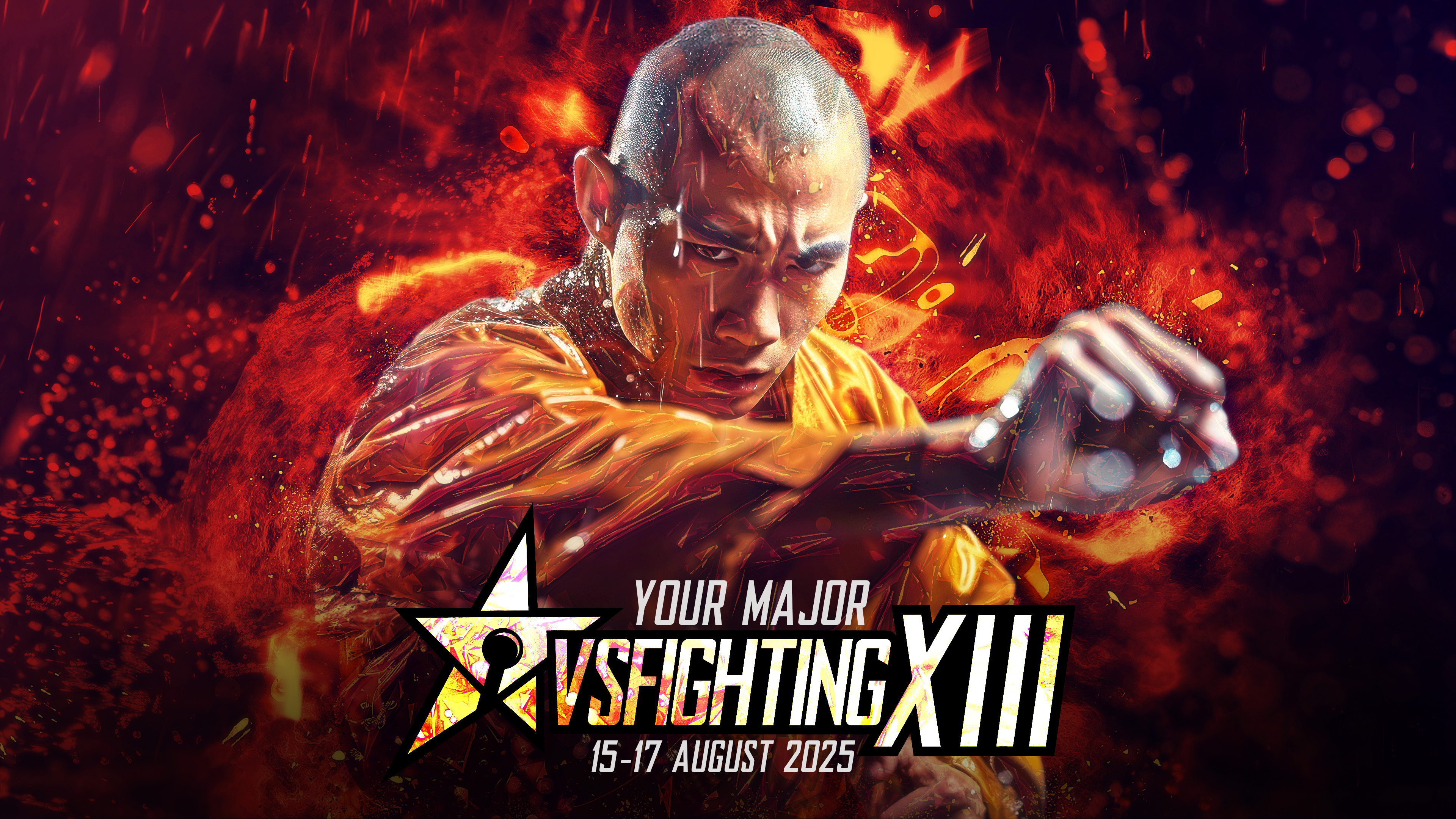 VSFighting XIII | Details