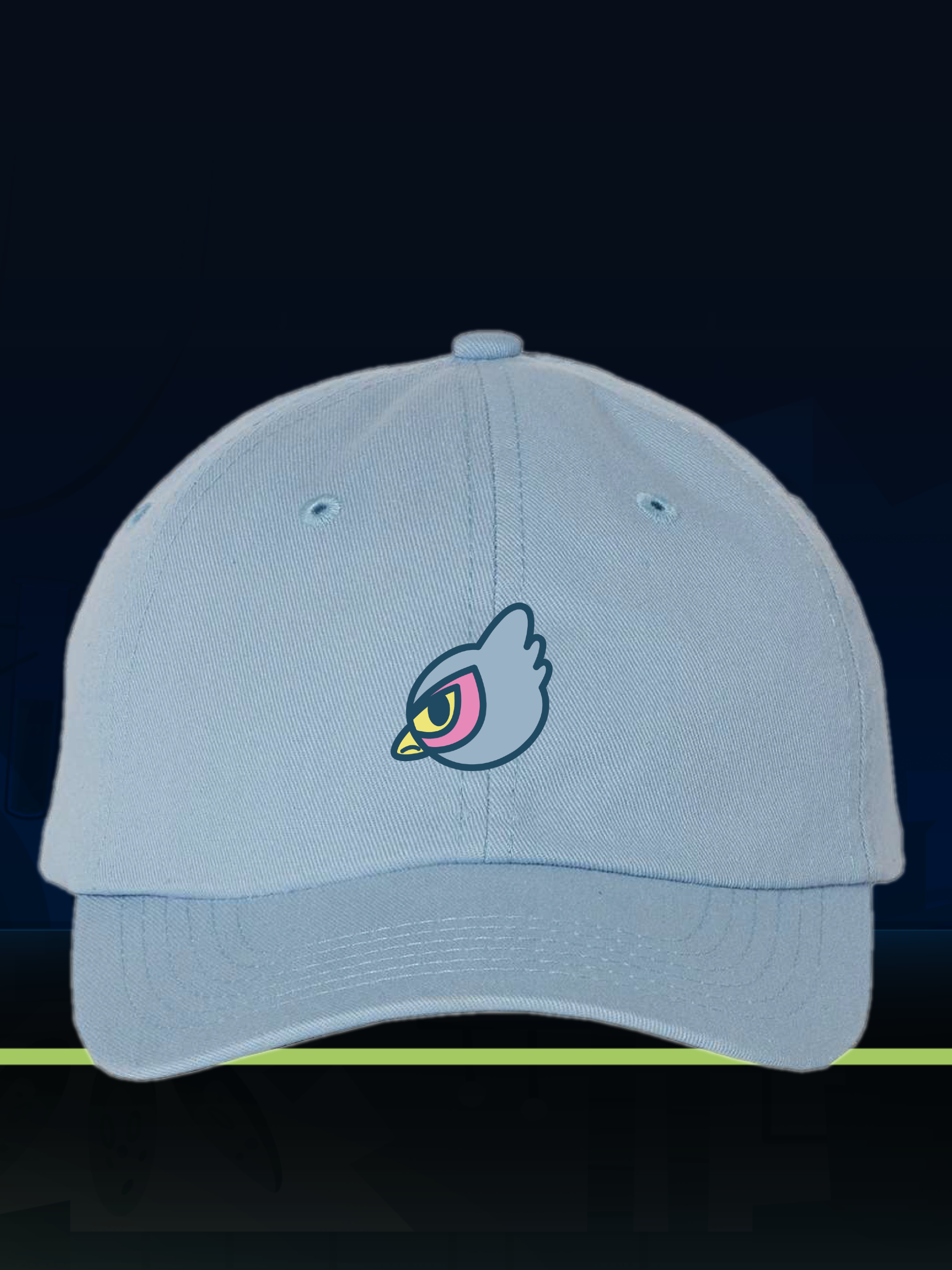 Bad Bird Dad Hat