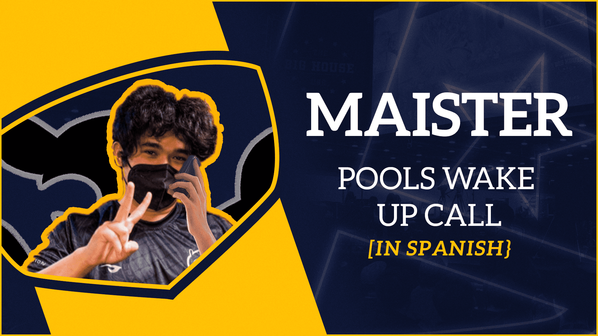 Wake up call from Maister (in Spanish)
