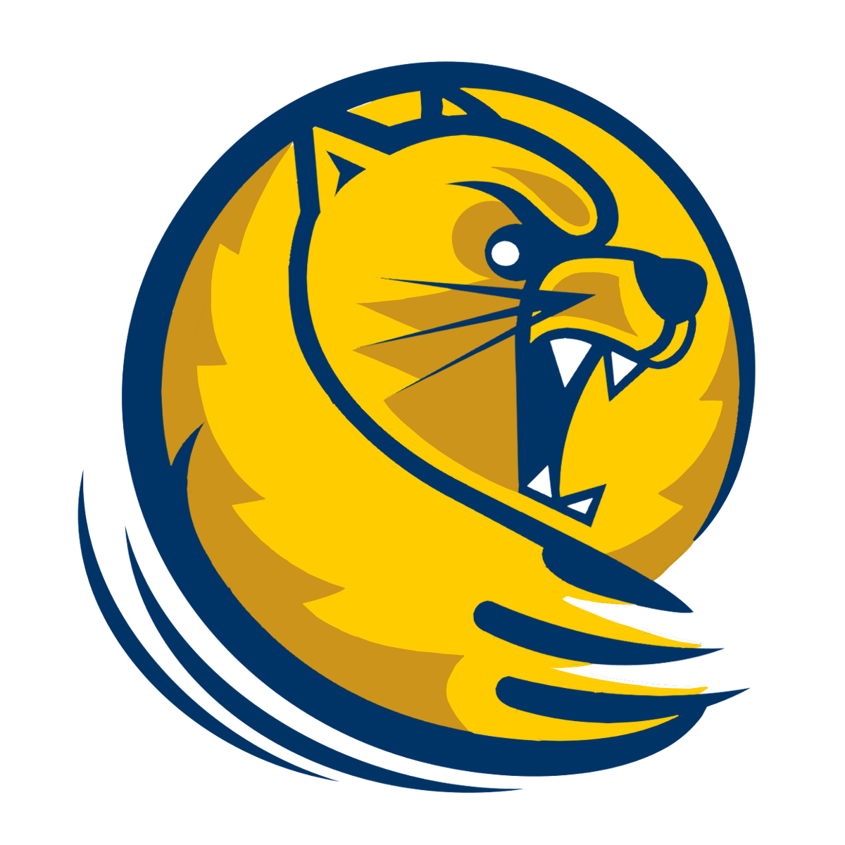 Lander University Varsity logo