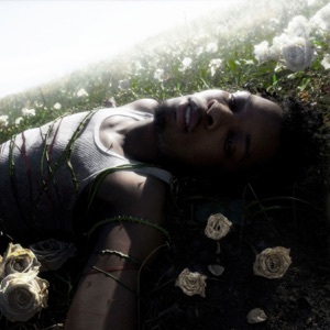 Download / d4vd / WITHERED # Album