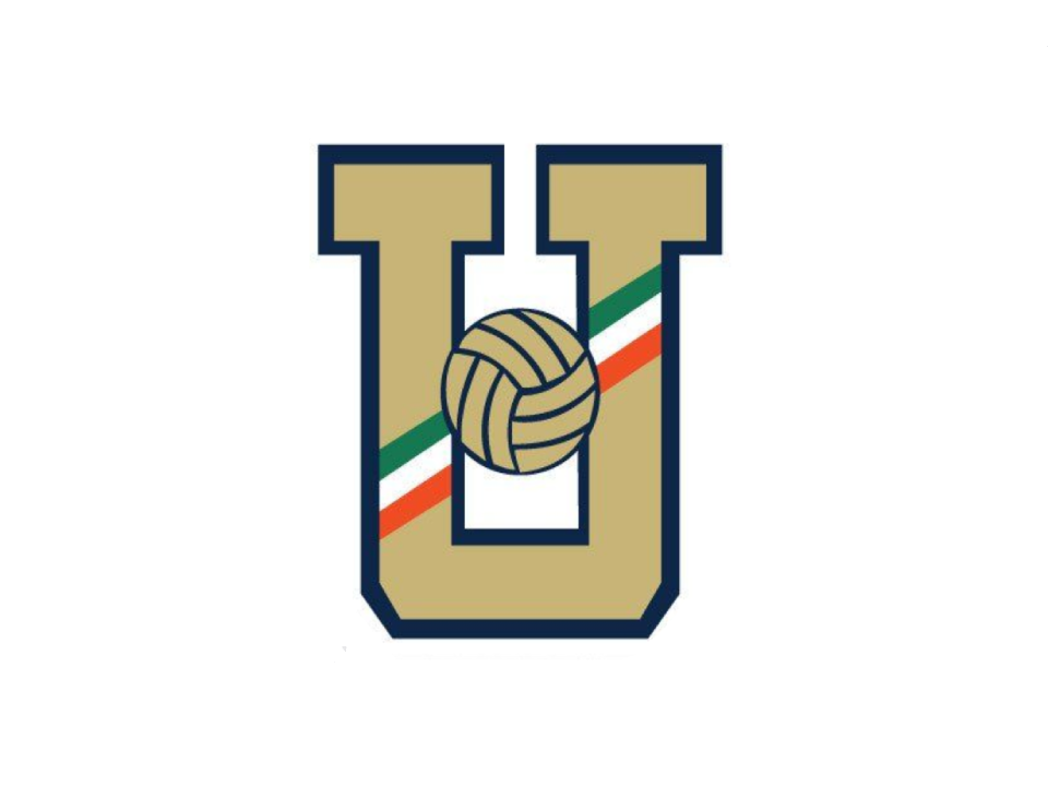 UNIVERSIDAD NACIONAL AUTÓNOMA DE MEXICO logo