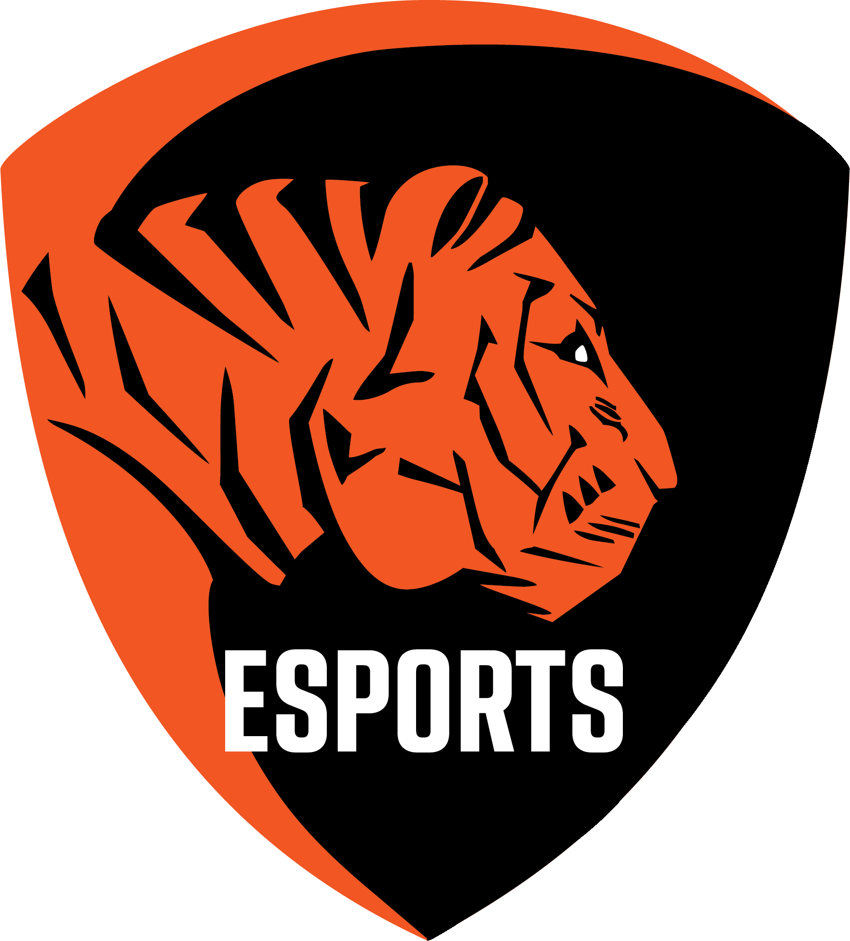 ECU Tiger Esports RL logo