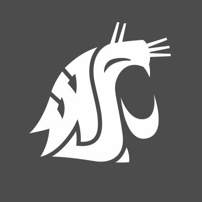 WSU Grey logo