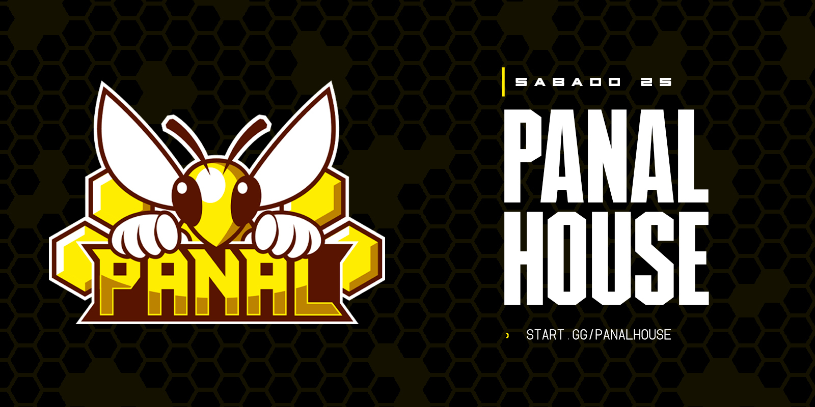 Panal House #6