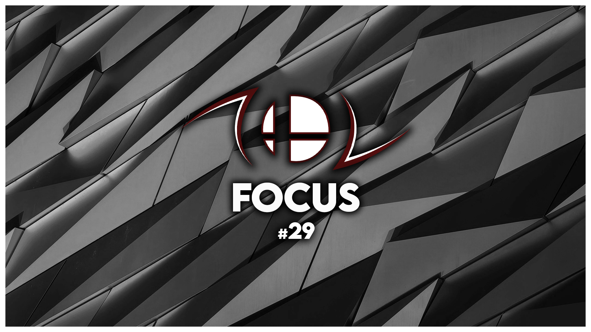 FOCUS #29