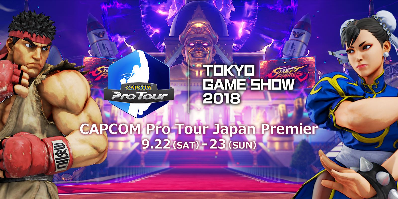 CAPCOM Pro Tour... | Overview