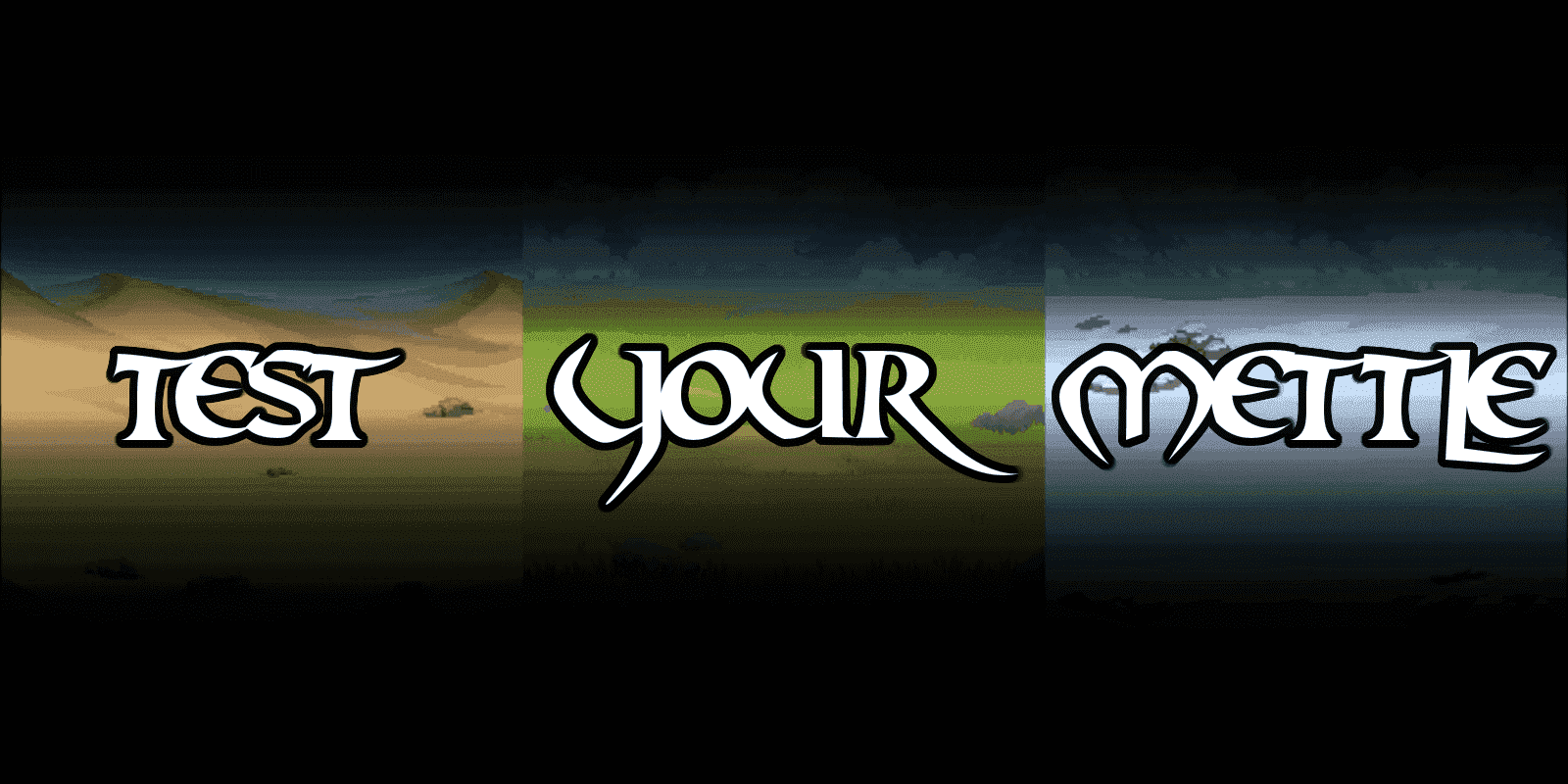 Test Your Mettl... Details