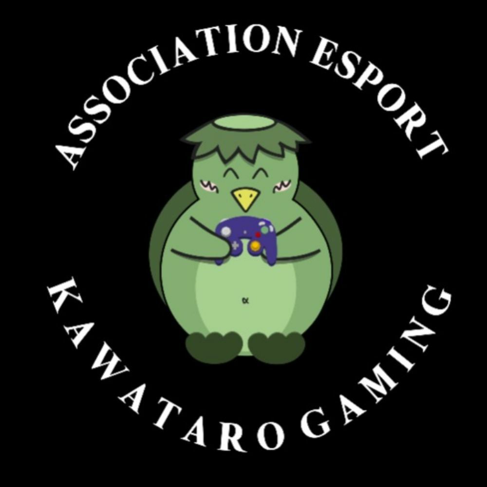 KAWATAGROS #2