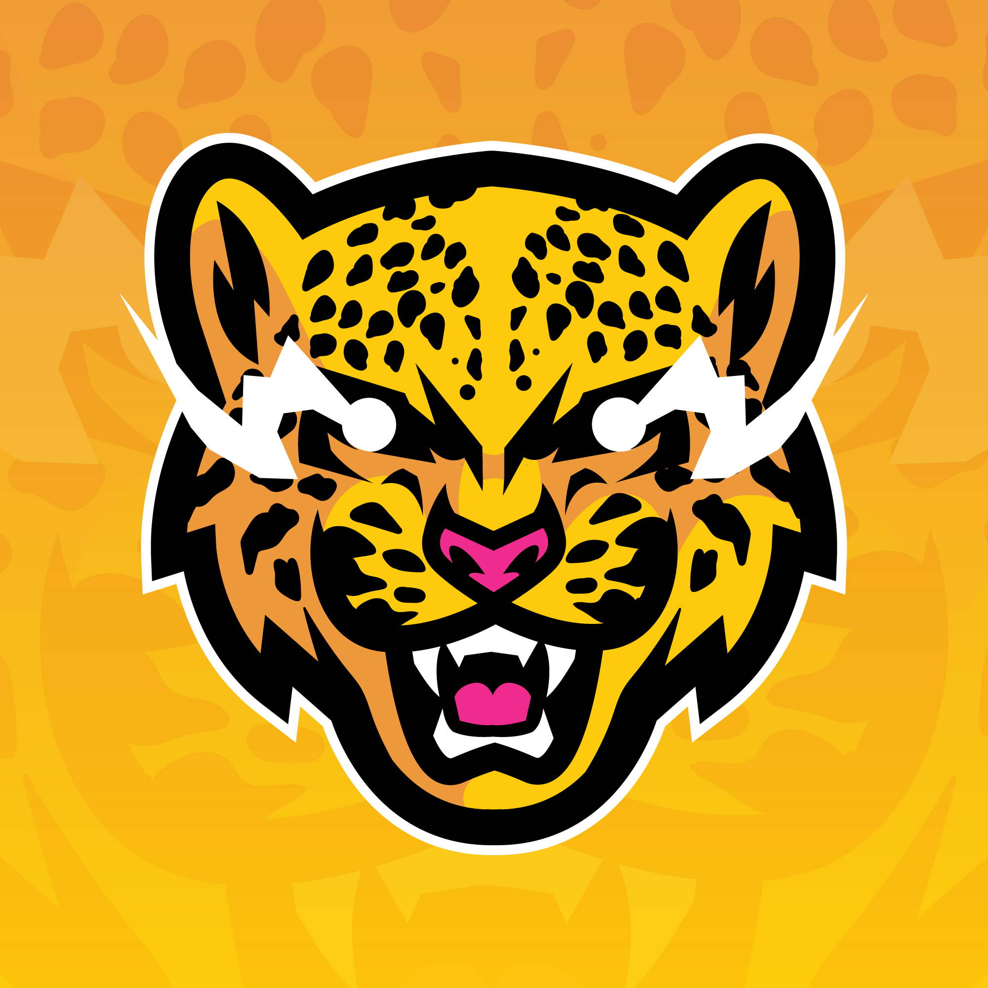 CIRCUITO ULTRA 2XKO (SEASON 1)