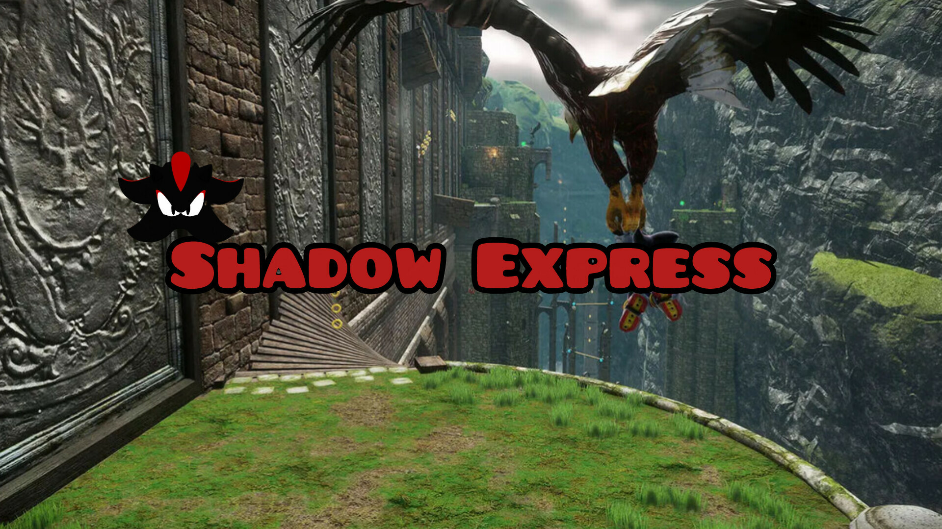 Shadow Express #3