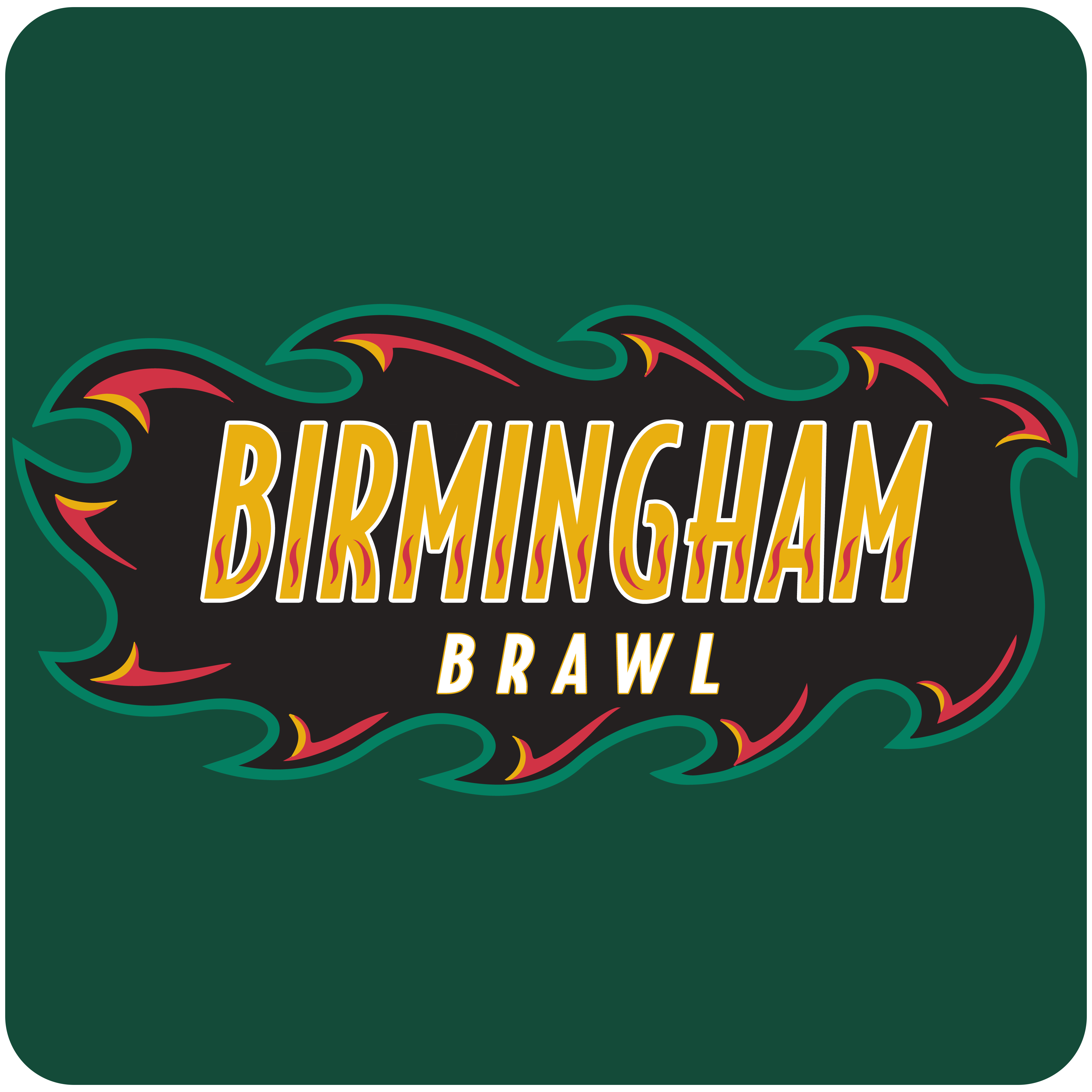 Birmingham Brawl #10