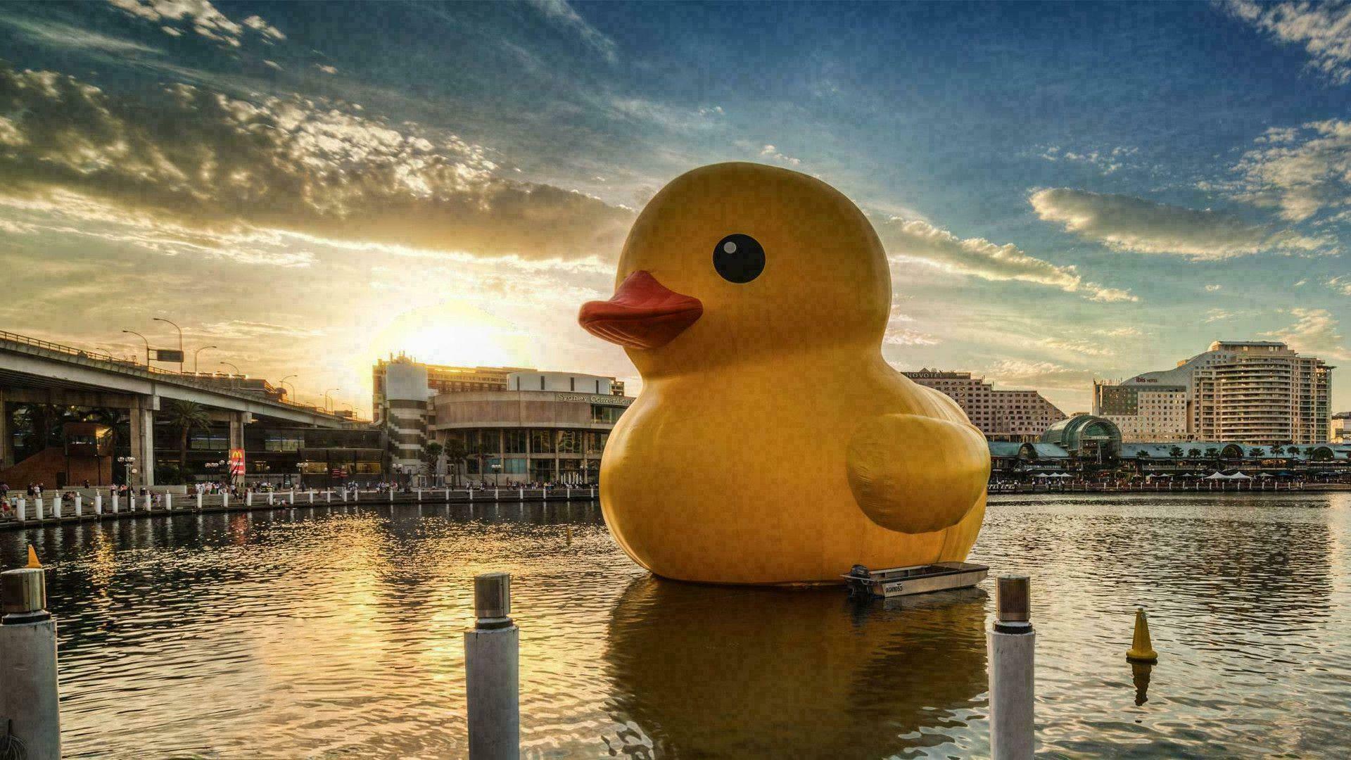 Major Ducket Supermajor - DUCK! #7