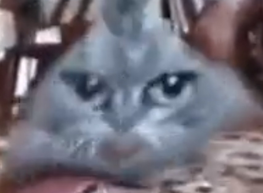 FLUF