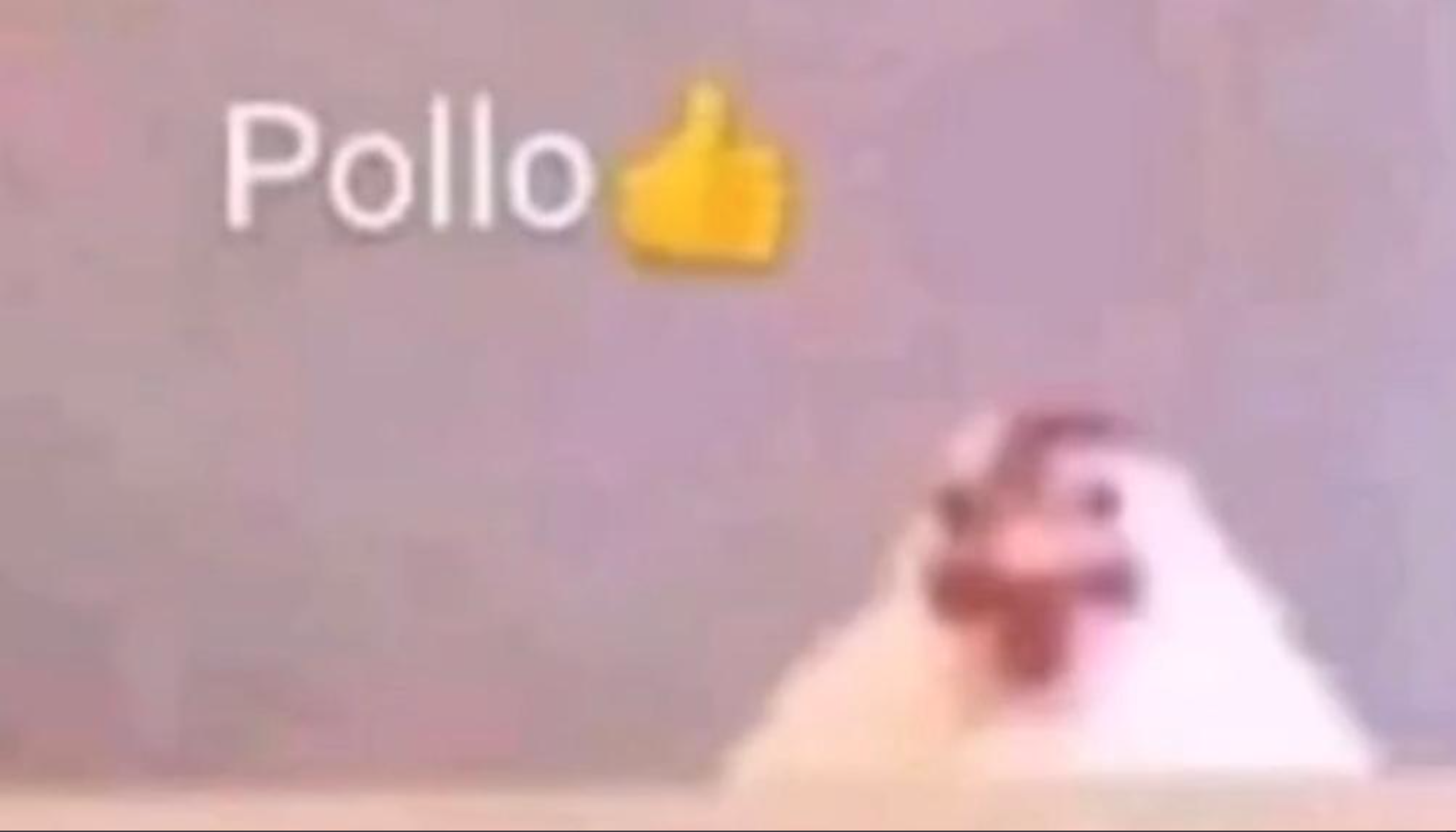 UE DBFC Kqt | Floppyfail