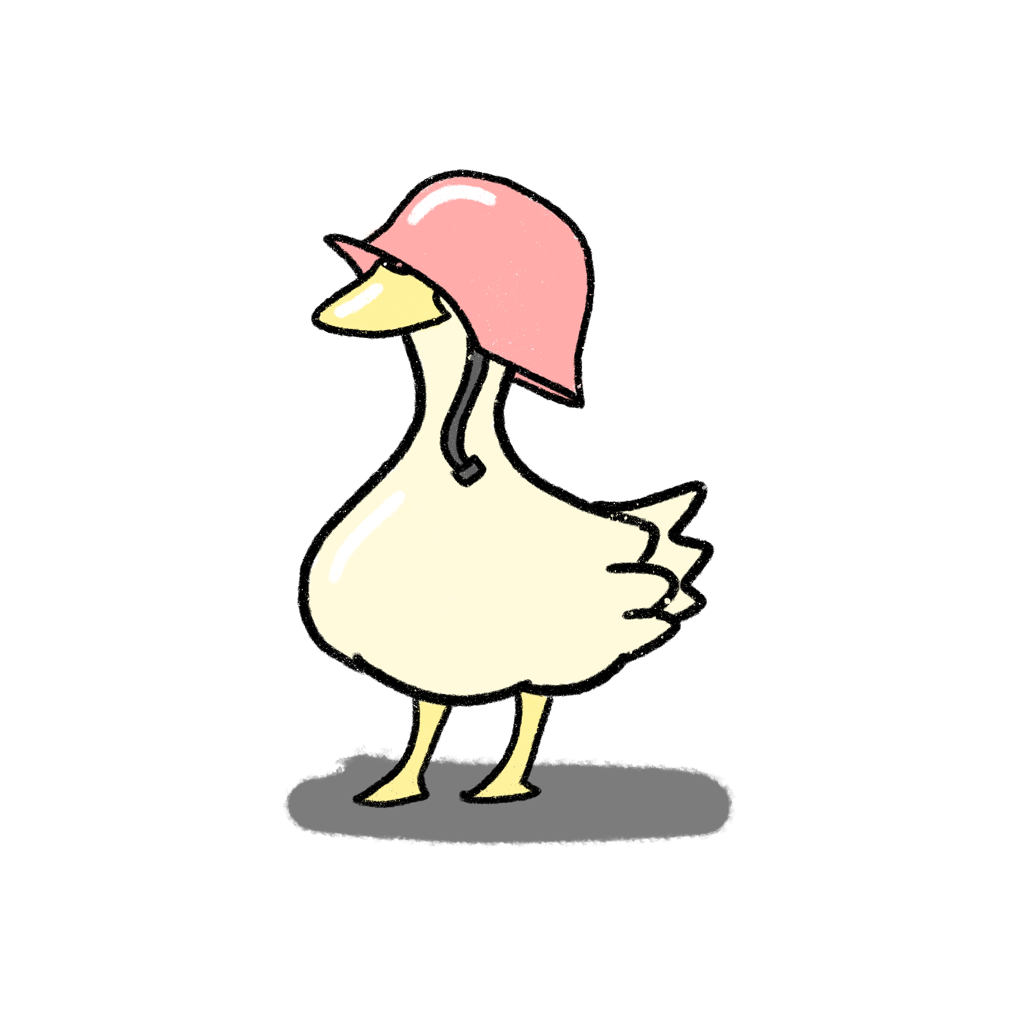 TheProtectedDuck