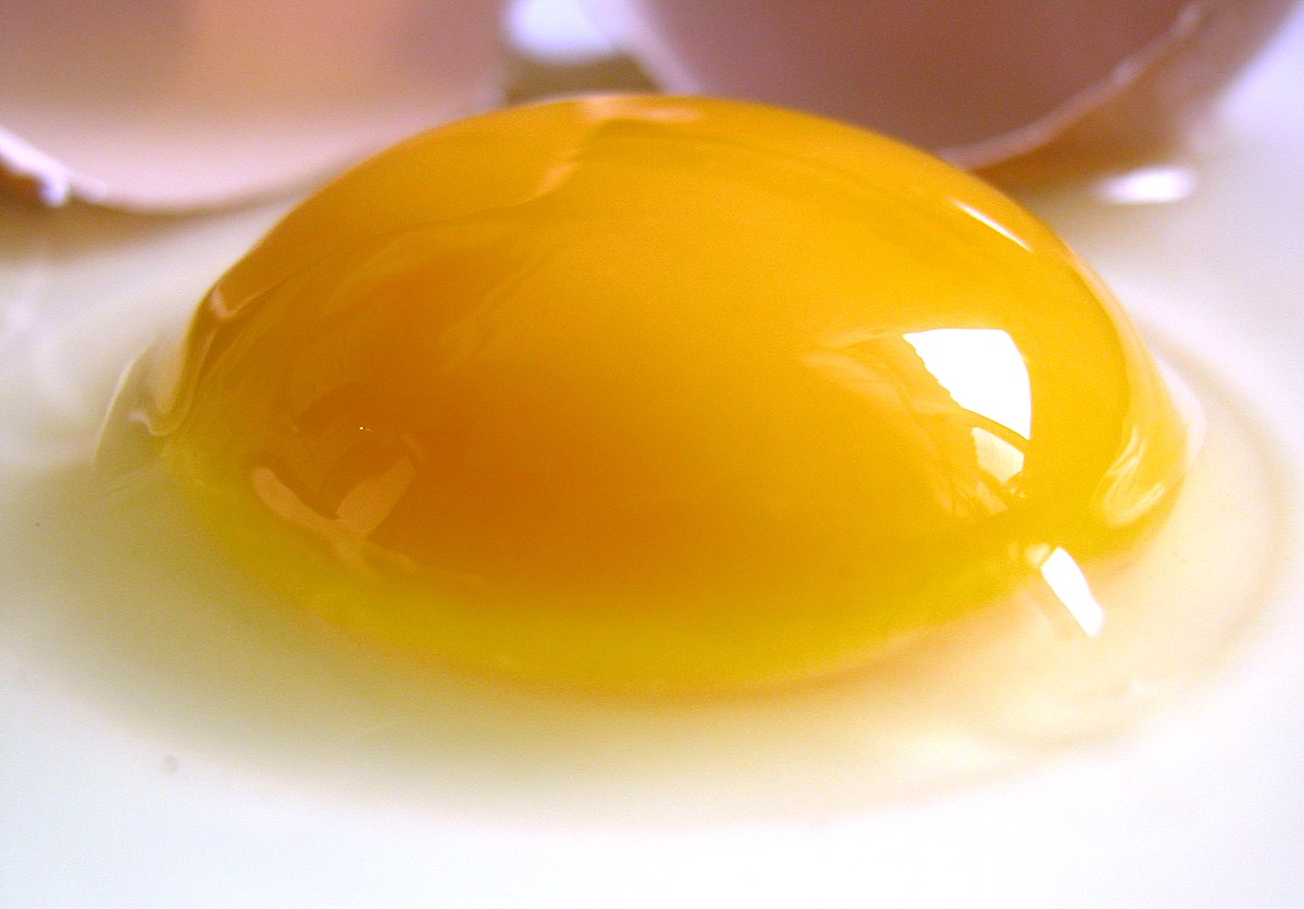 Big_Yolk