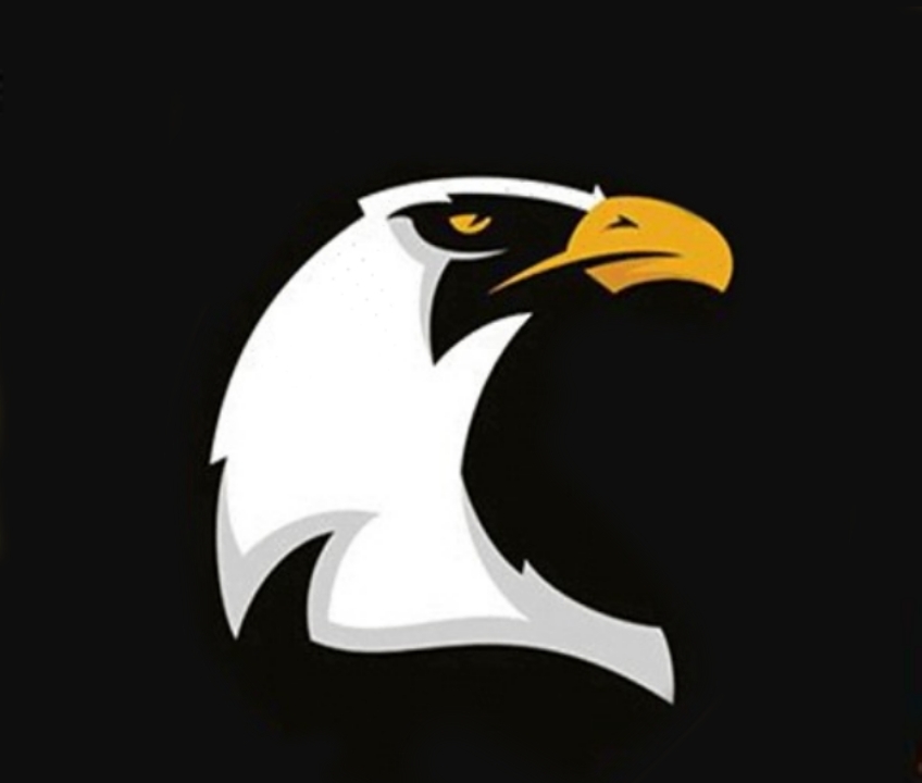TheEagleEye