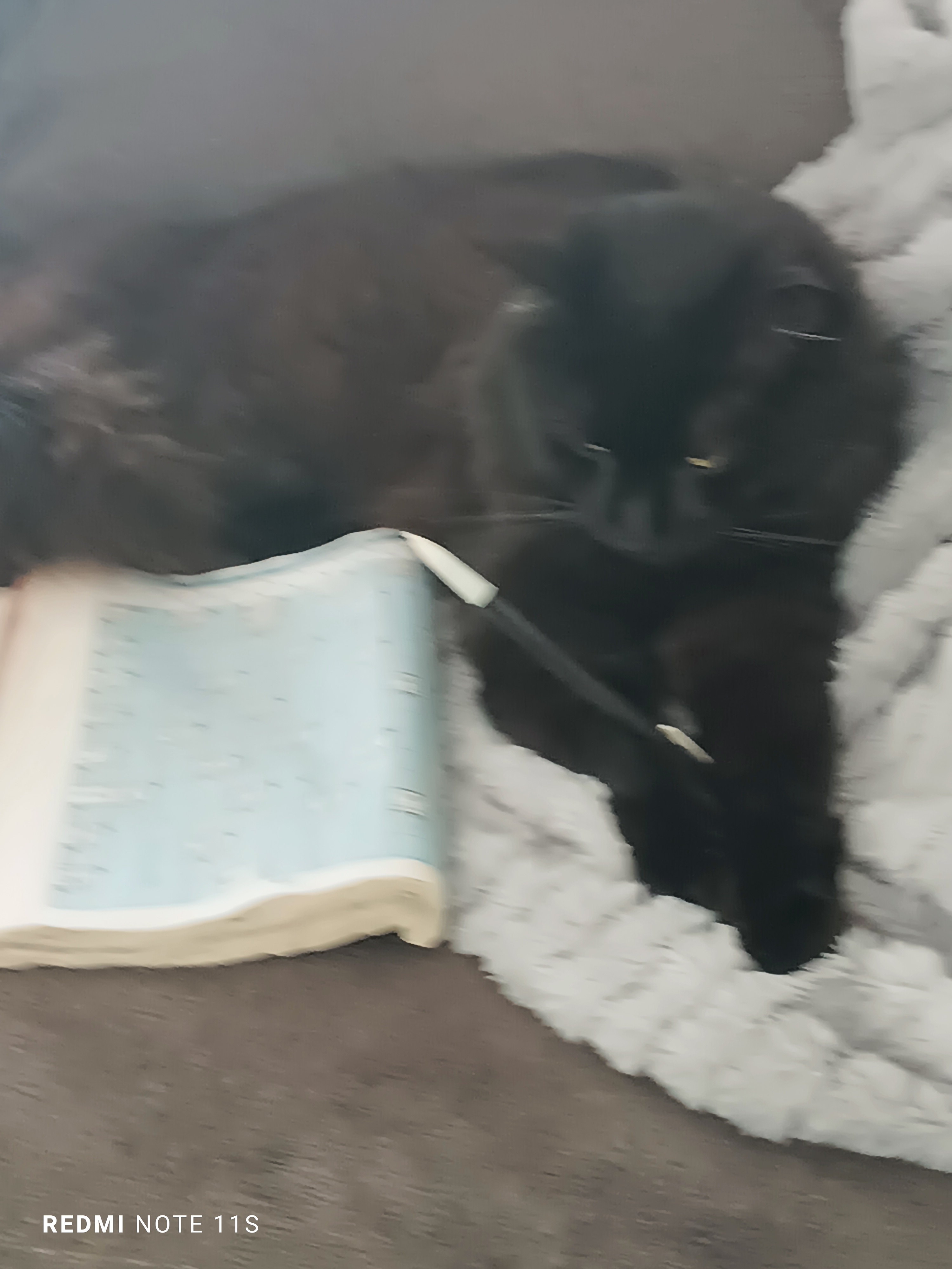 Isshin