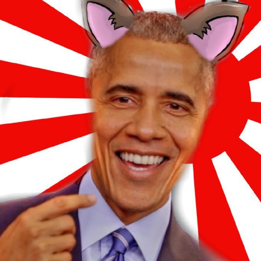 Neko-PL-