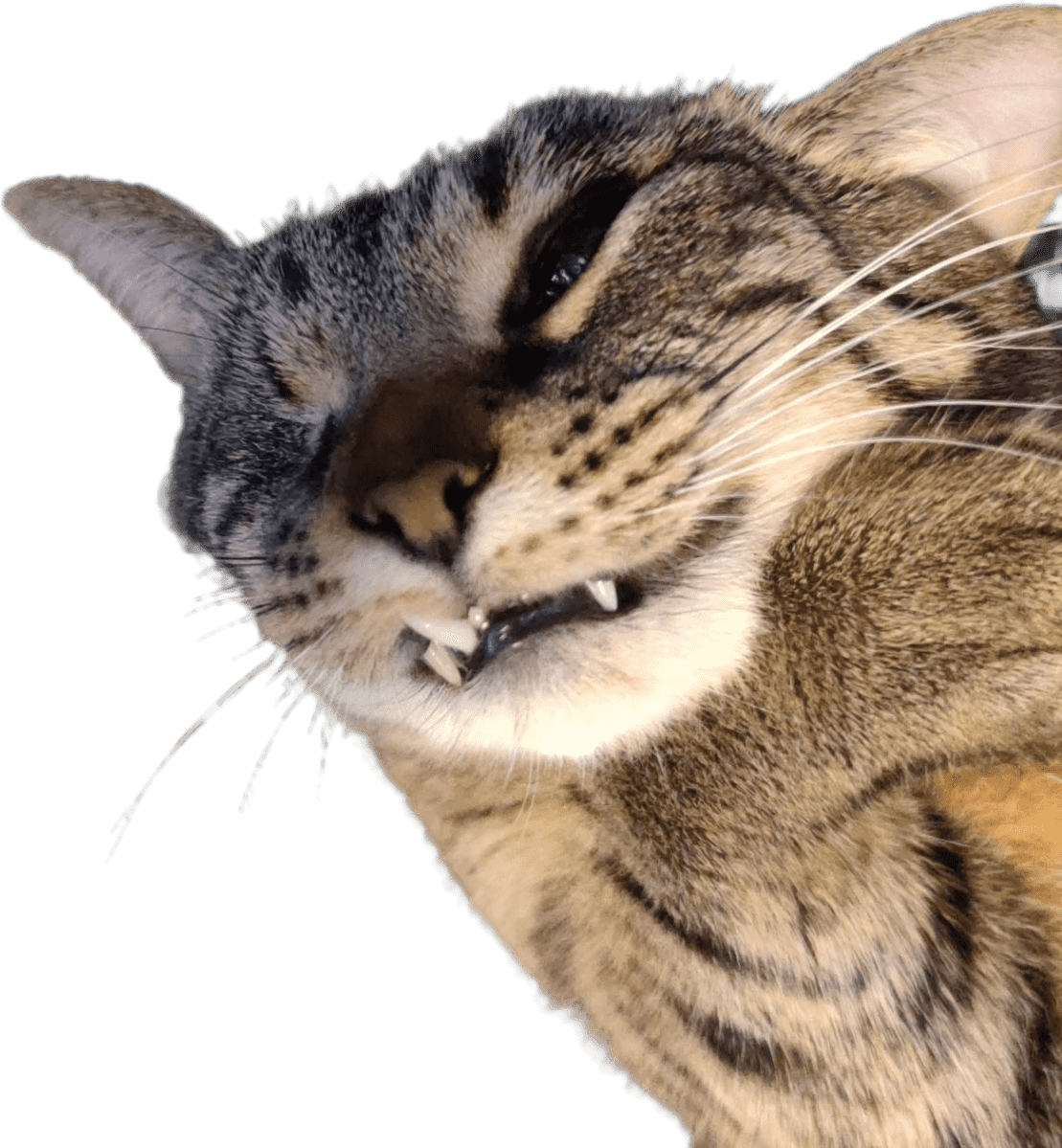 Slumbo
