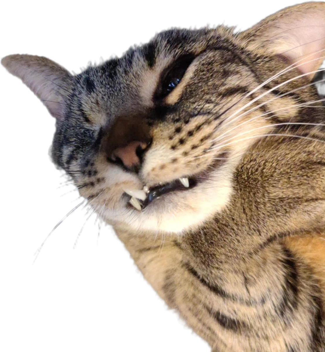 Slumbo