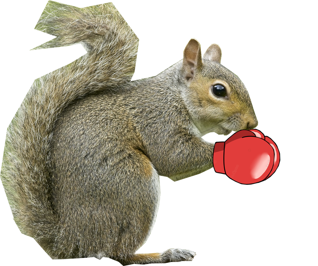 Squirrel God profile