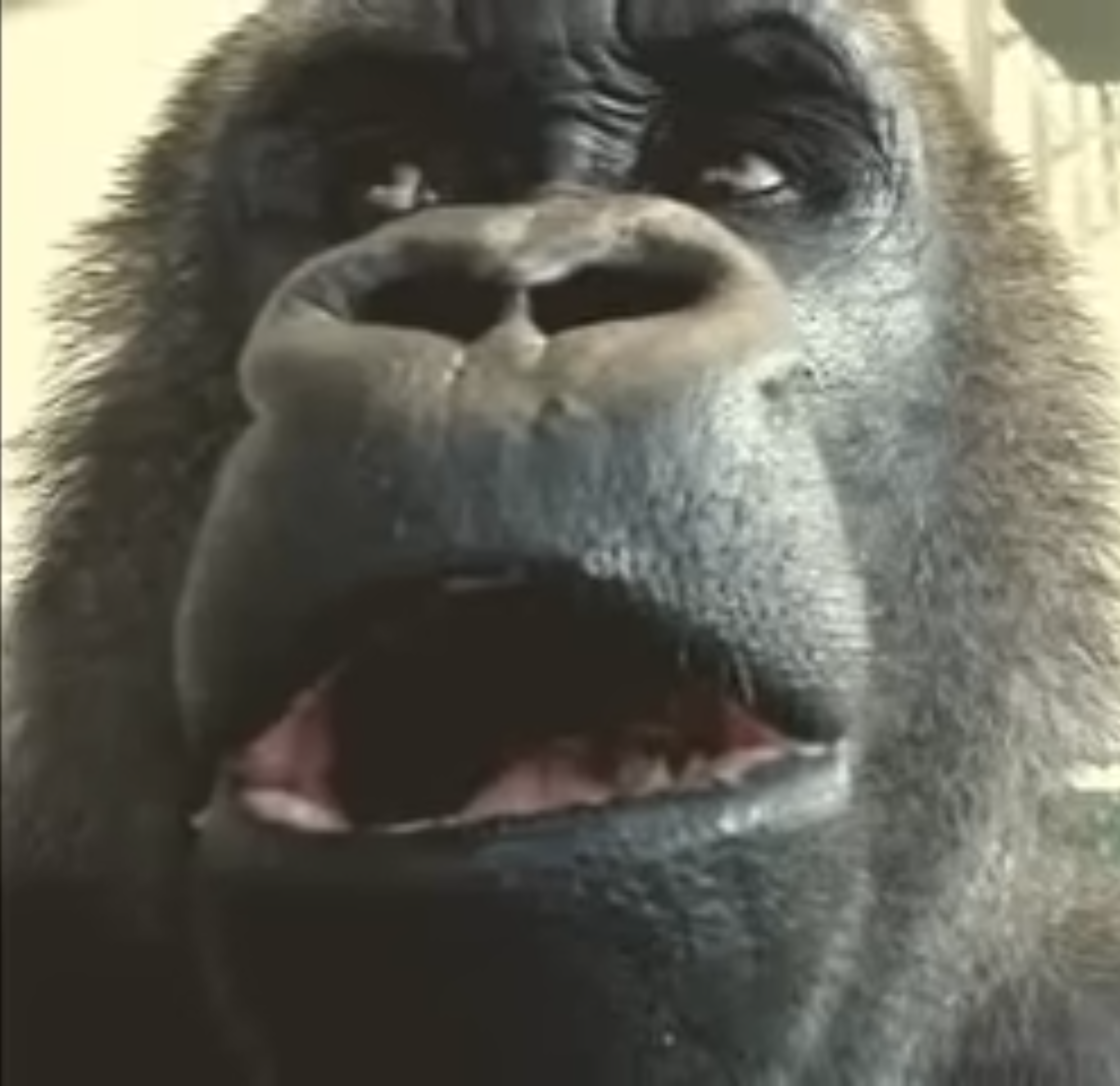 Fhn`v