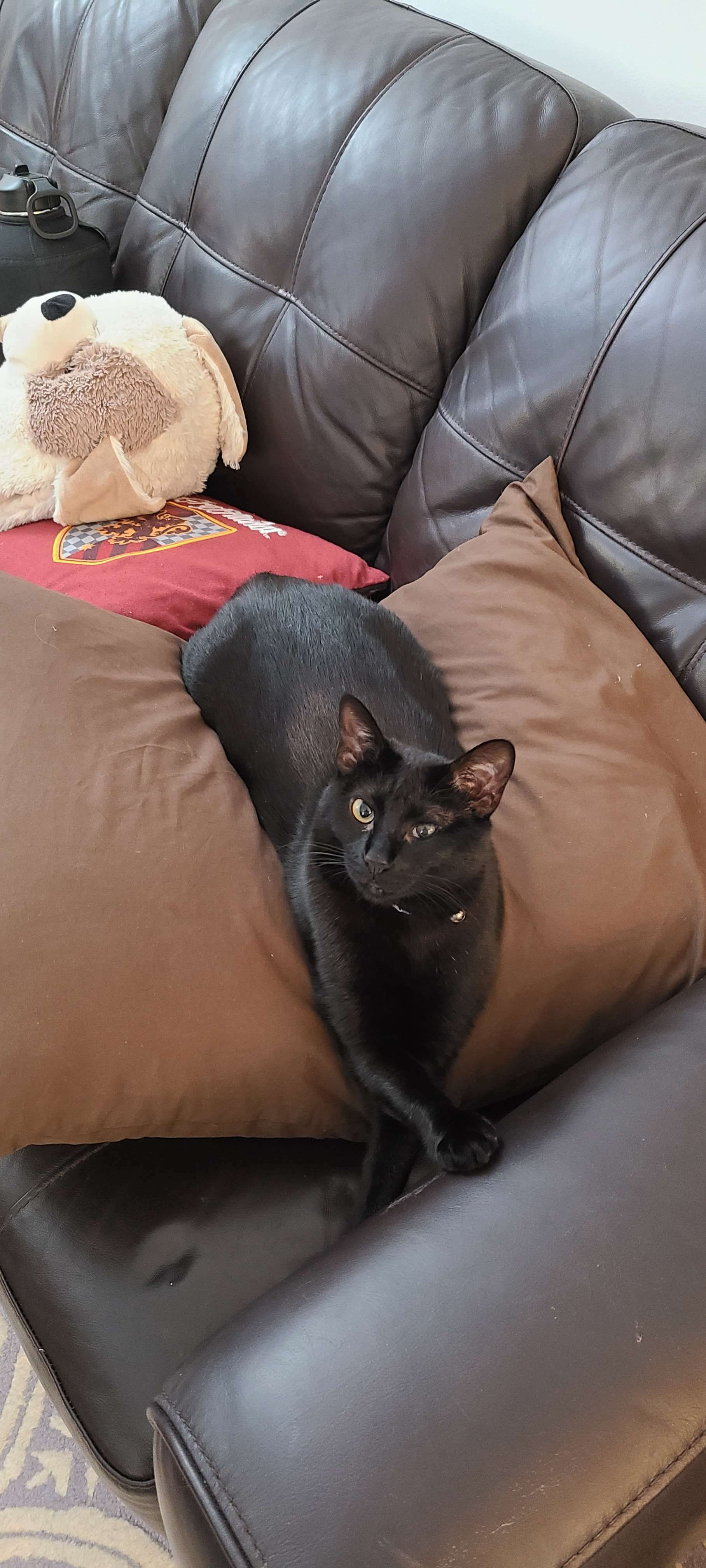 Old Man Zen