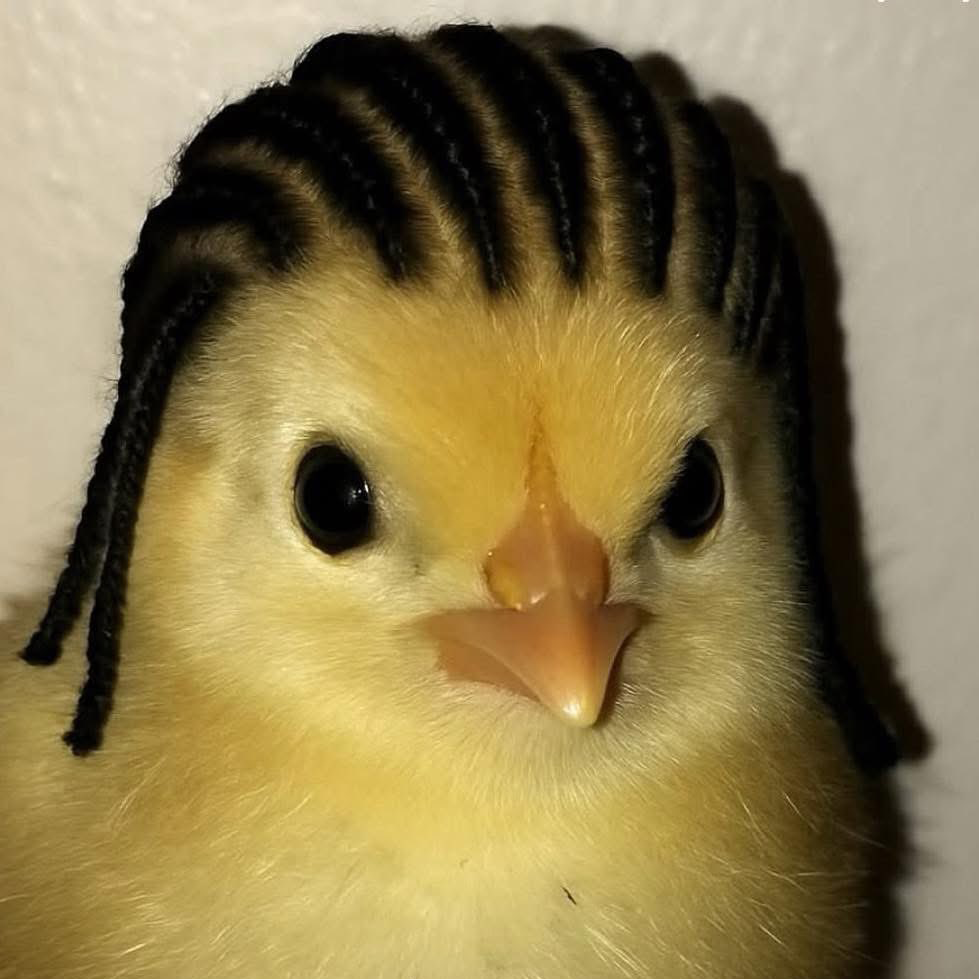 PhattyMikey