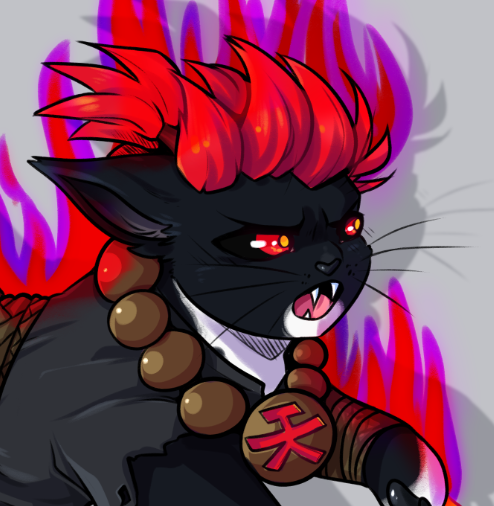 Akucat Falcon