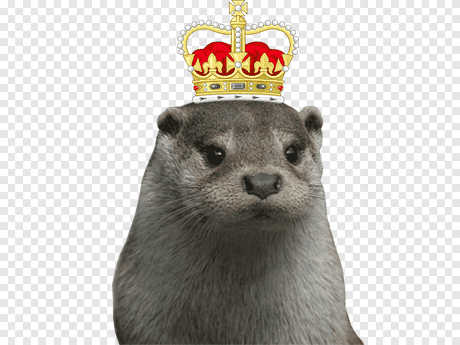 SPAmASTER