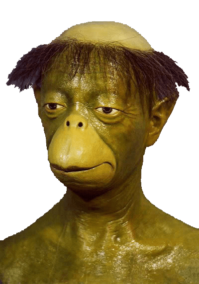 Chaoser