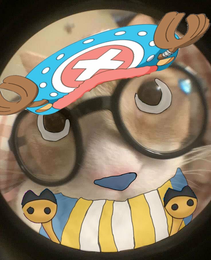 SUPER NETURTLE MASTER profile