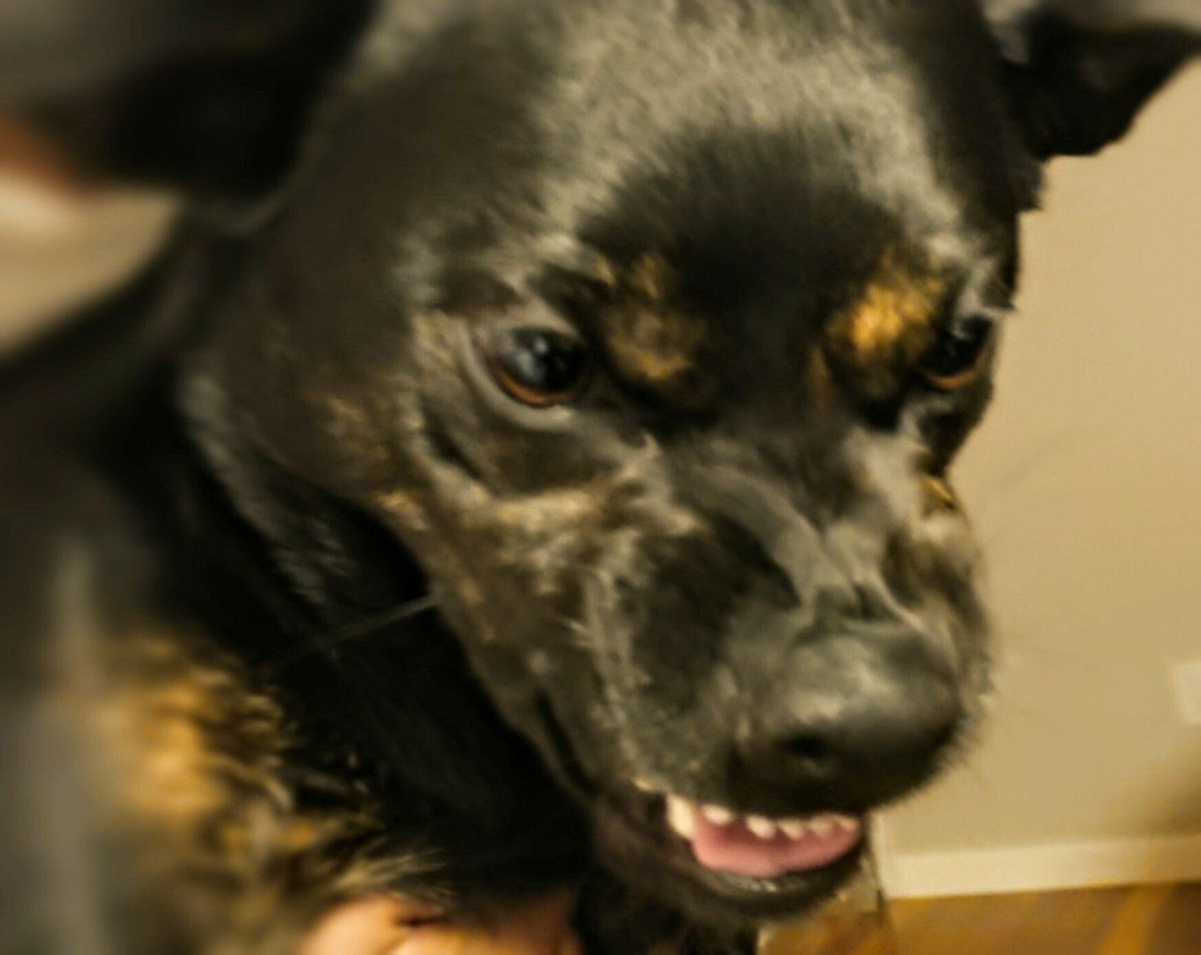 Killion Rage
