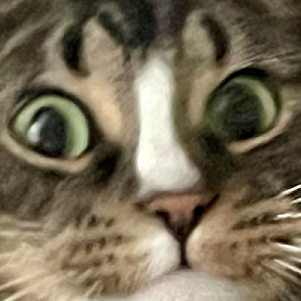 DasGoot