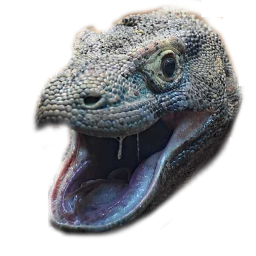 Real_komodo