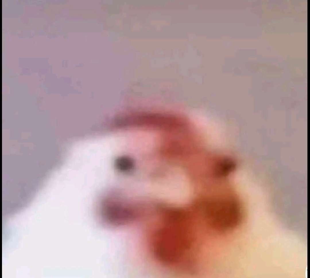 erk