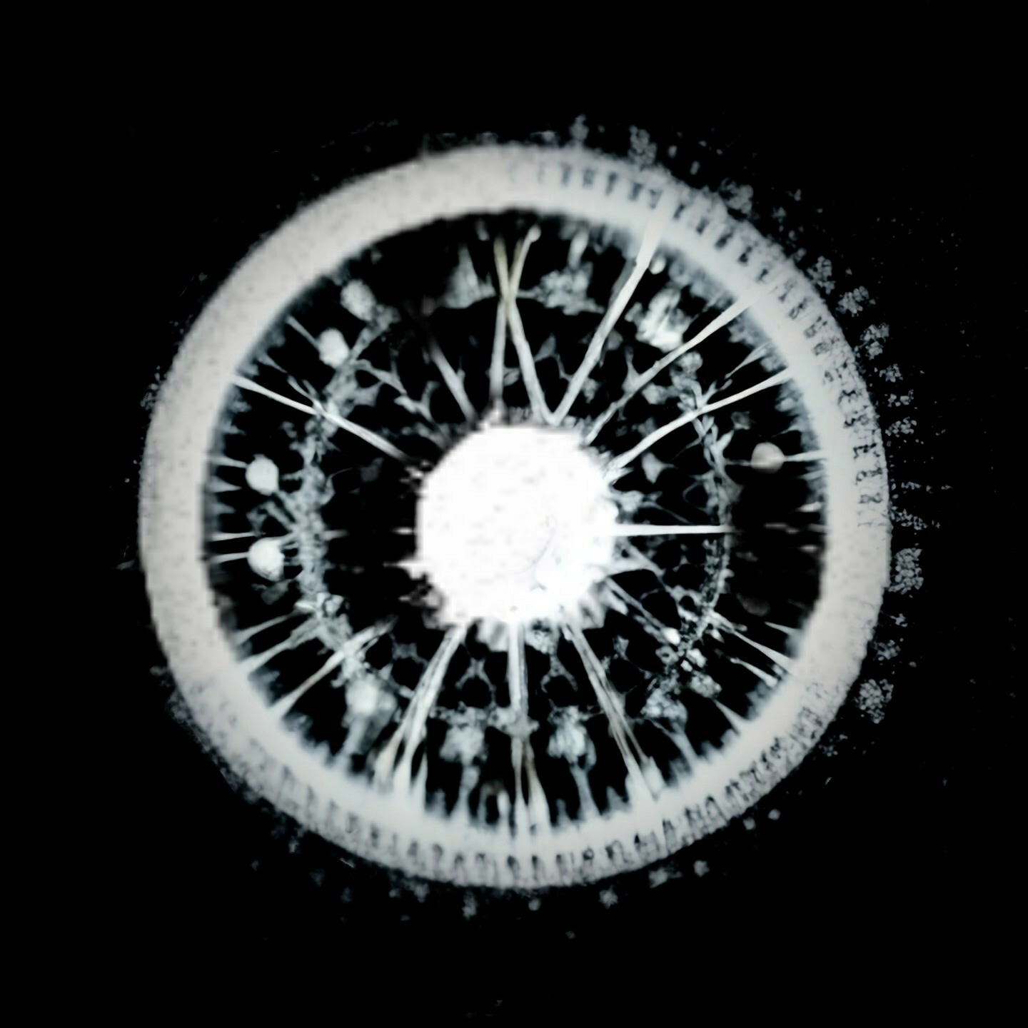 Orphx