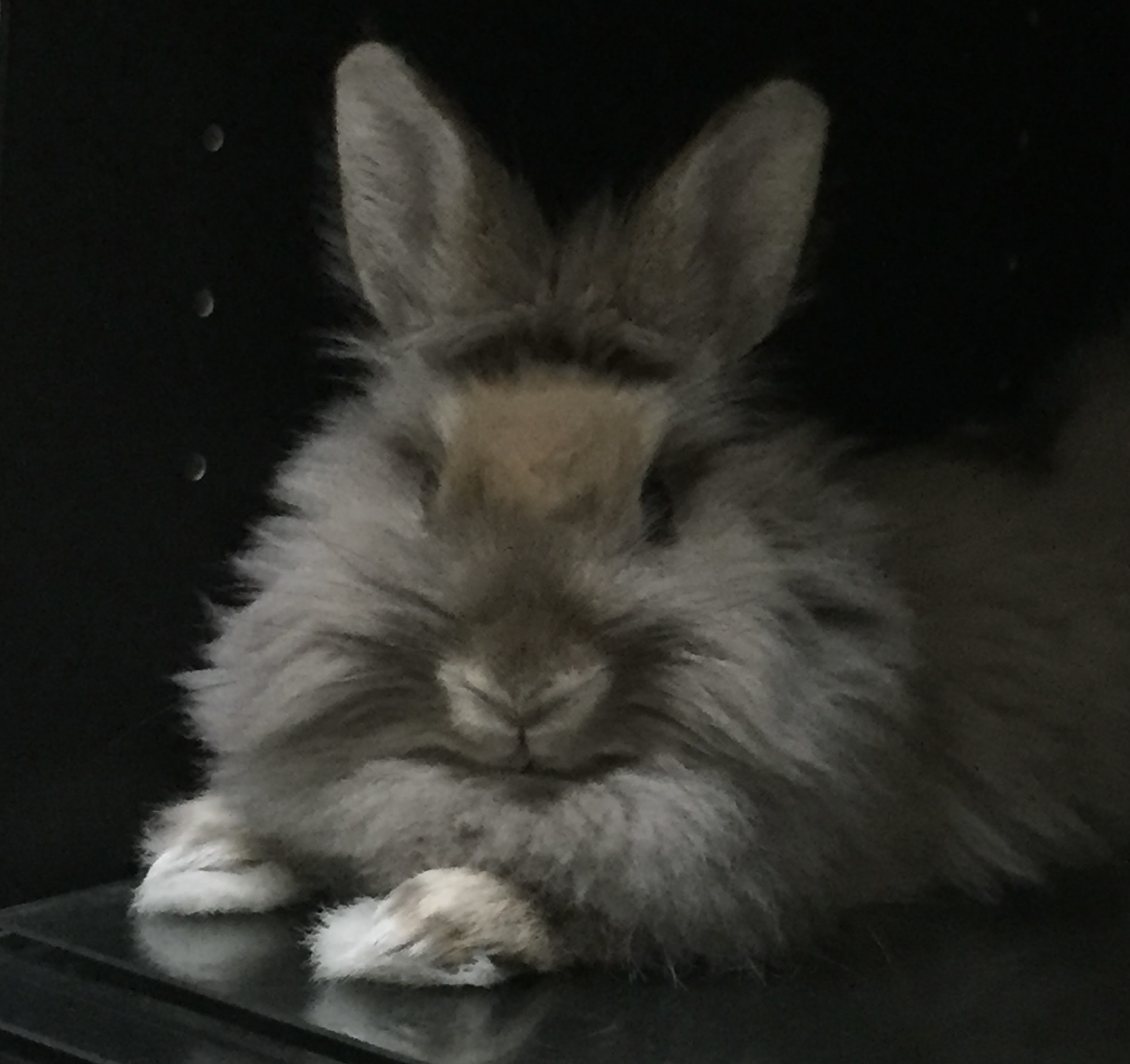 hiro