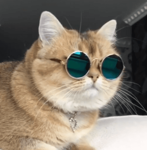 Coolestred