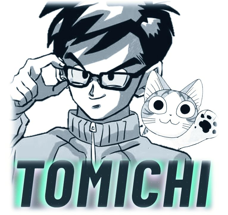 Tomichi31