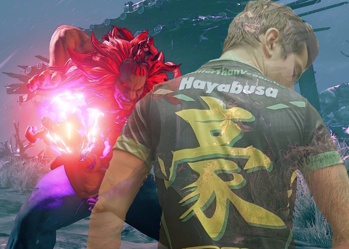 Hayabusa