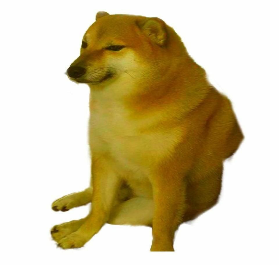 Stray_Dog292