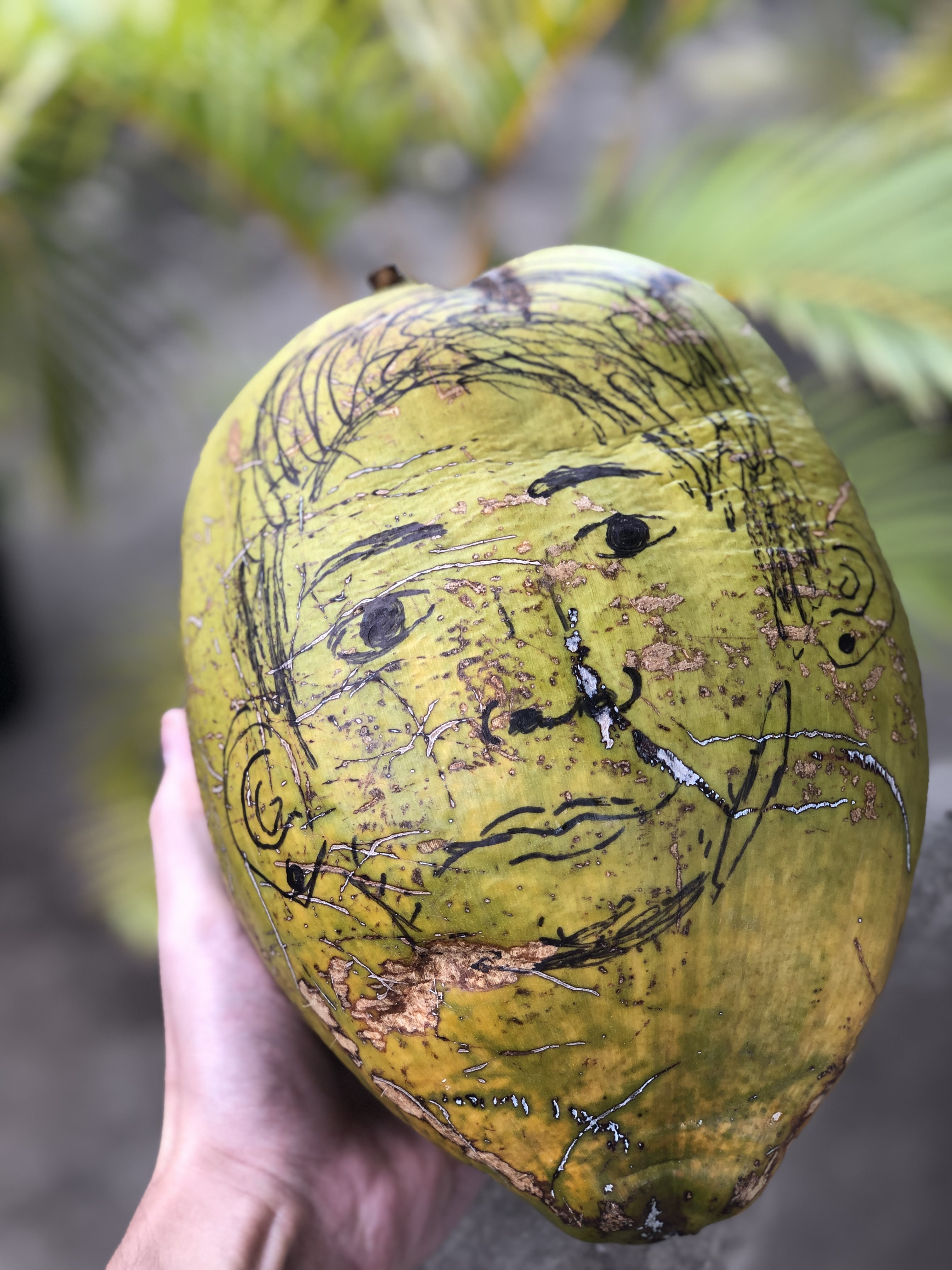 mauibrad