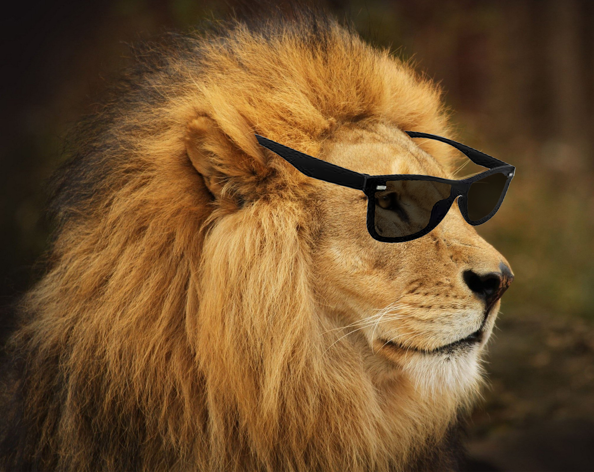 Lionriver