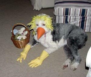 PistachiJoe