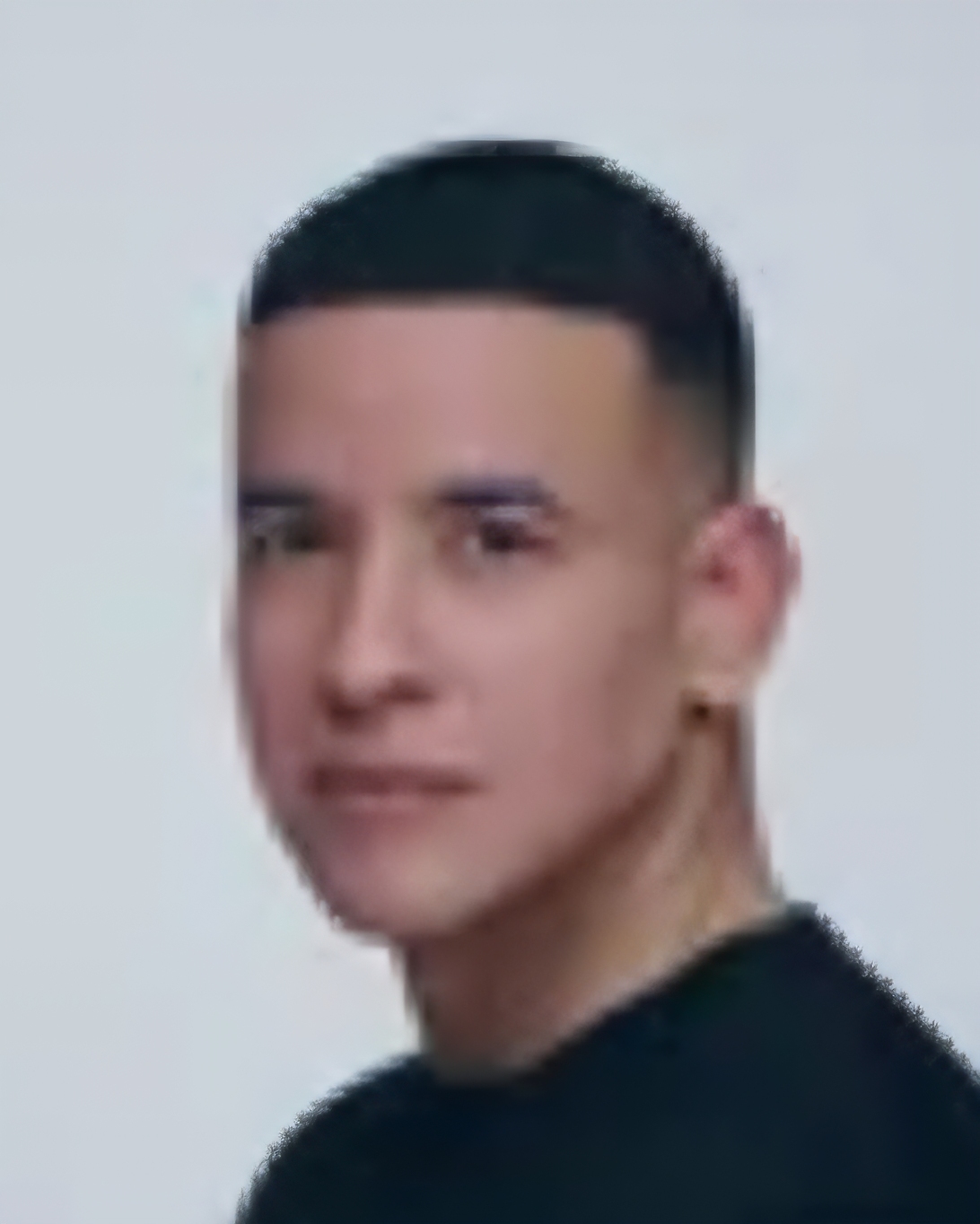 Daddy Yankee profile