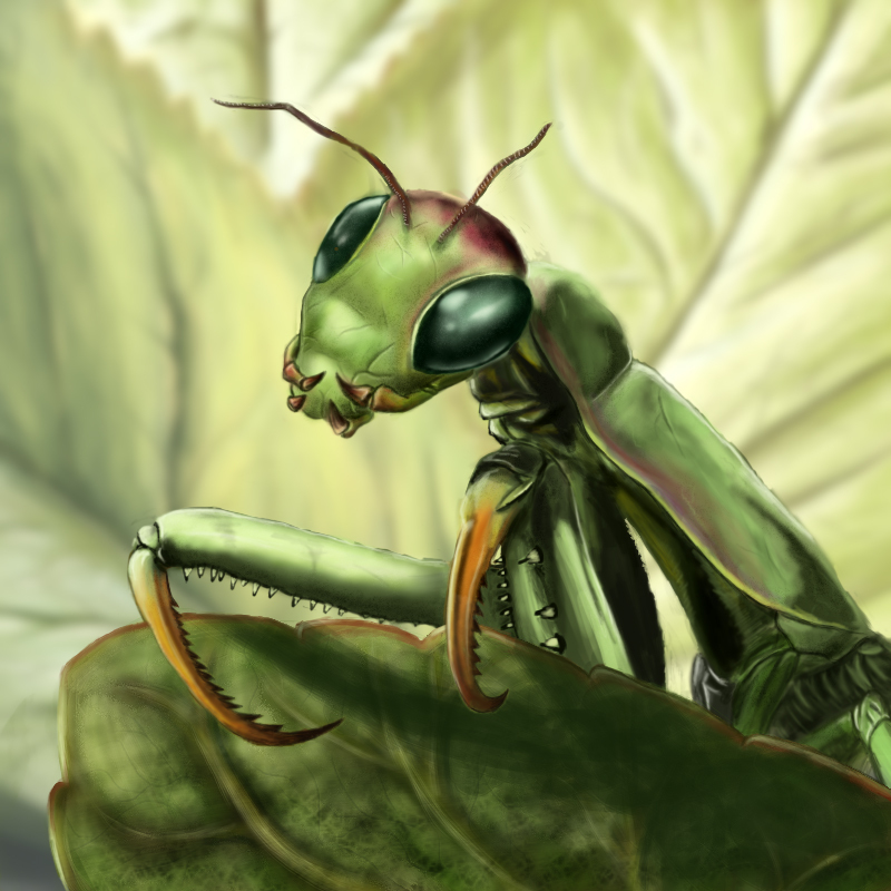 KaijuMantis